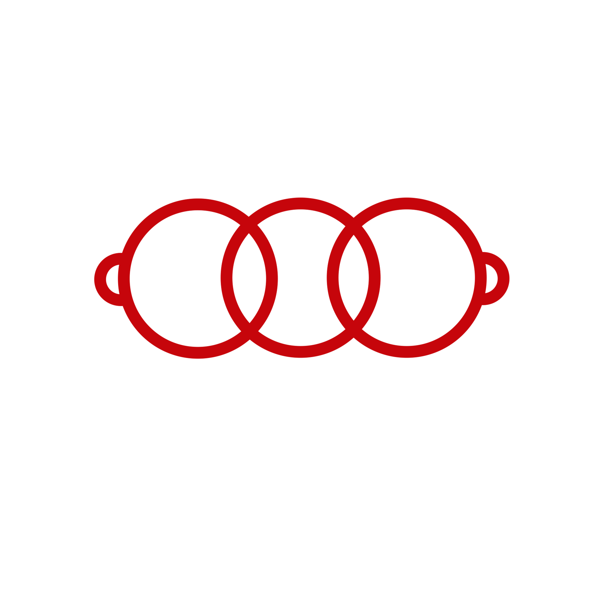 City Hotpot Logo